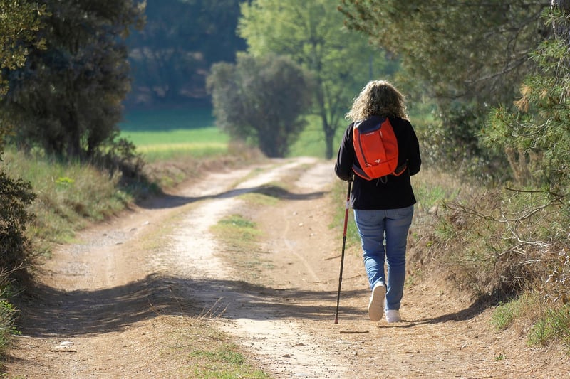Wellness Journey